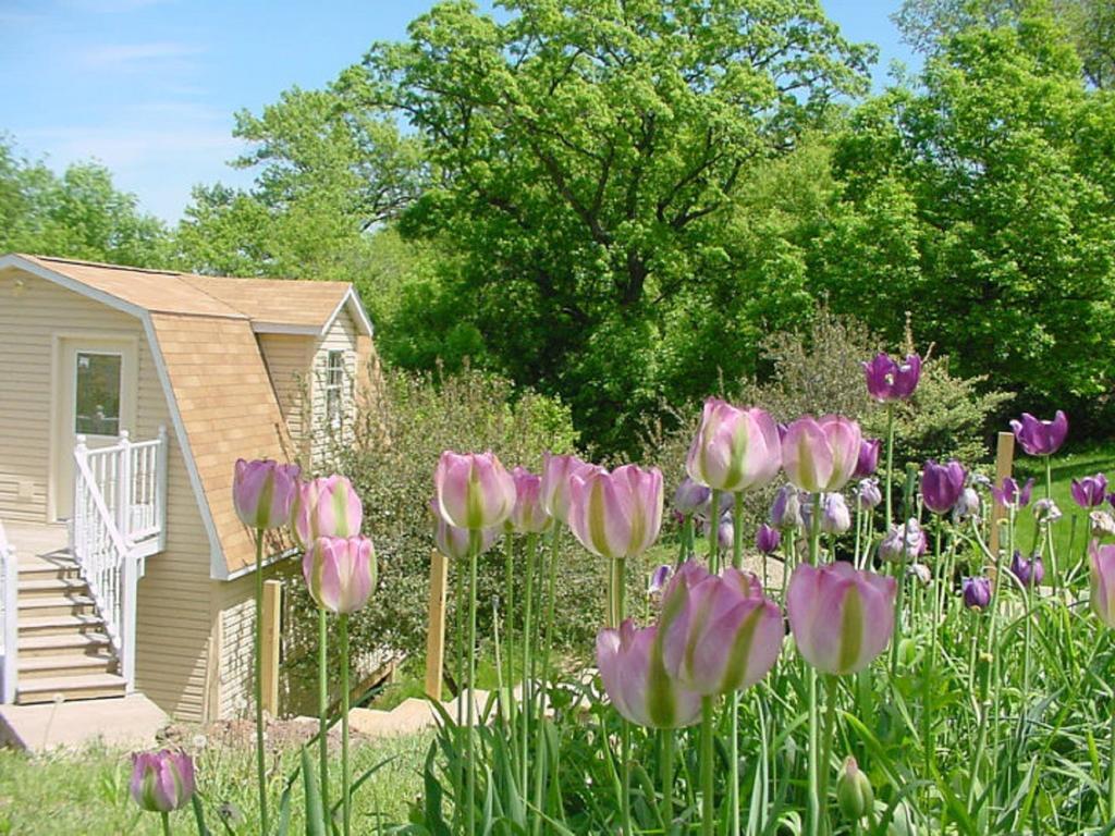 Villa Trickling Waters Retreat Marquette Exterior foto